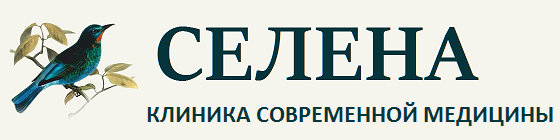 Главная